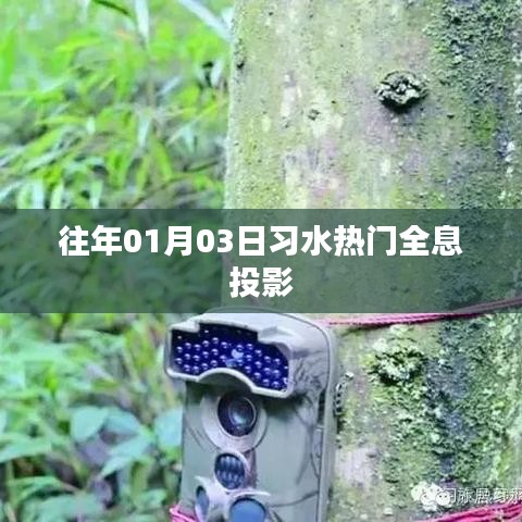 習(xí)水熱門全息投影，歷年一月初上演的視覺盛宴