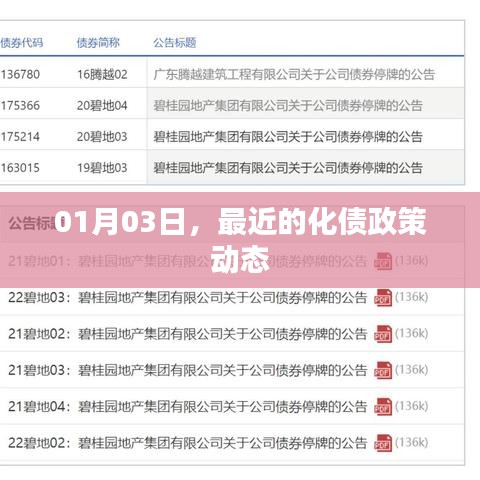 最新化債政策動(dòng)態(tài)解析，關(guān)注日期至一月三日