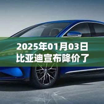辦公環(huán)境 第46頁