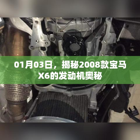 獨(dú)出新裁 第3頁