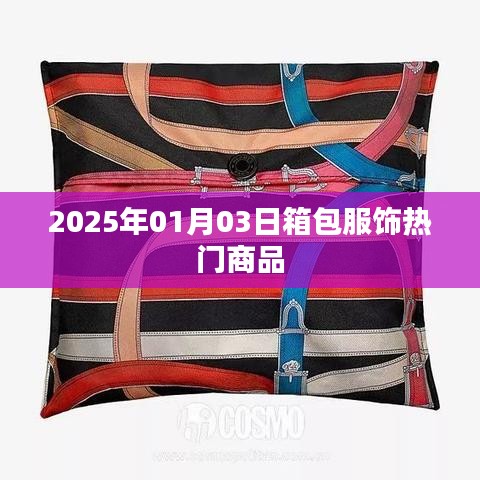 『2025年熱門箱包服飾一覽』