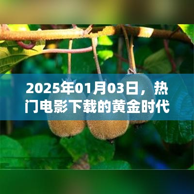 熱門電影下載黃金時(shí)代，2025年展望