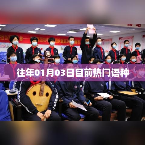 全球熱門語言趨勢，歷年一月三日最新動態(tài)分析
