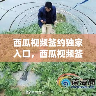 西瓜視頻簽約獨家入口，西瓜視頻簽約獨家有什么好處 