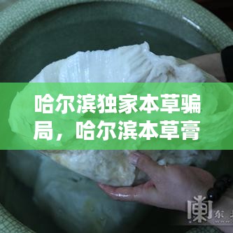 哈爾濱獨(dú)家本草騙局，哈爾濱本草膏 