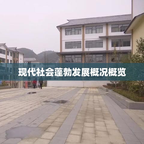 現(xiàn)代社會(huì)蓬勃發(fā)展概況概覽