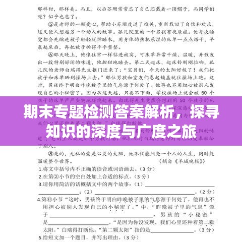 期末專題檢測(cè)答案解析，探尋知識(shí)的深度與廣度之旅