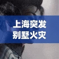 上海突發(fā)別墅火災(zāi)事件，上海別墅縱火殺妻 