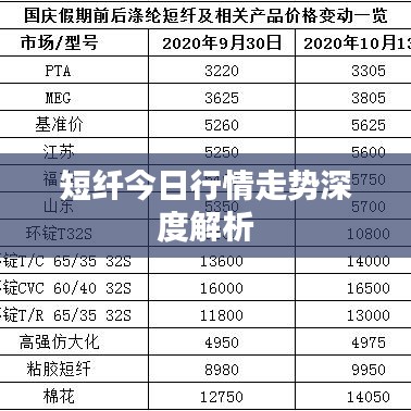 短纖今日行情走勢深度解析