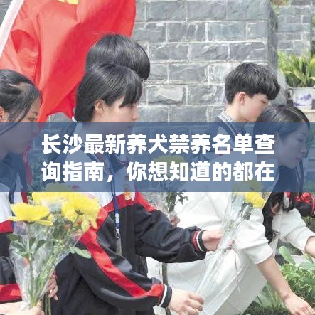 長(zhǎng)沙最新養(yǎng)犬禁養(yǎng)名單查詢指南，你想知道的都在這里！
