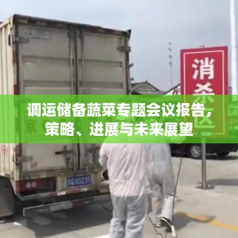 調(diào)運儲備蔬菜專題會議報告，策略、進(jìn)展與未來展望