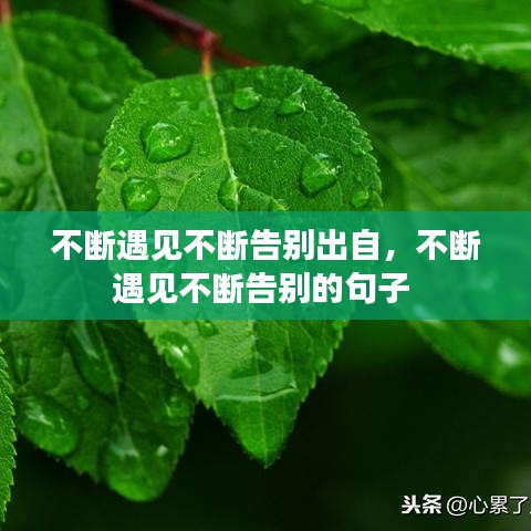 不斷遇見(jiàn)不斷告別出自，不斷遇見(jiàn)不斷告別的句子 