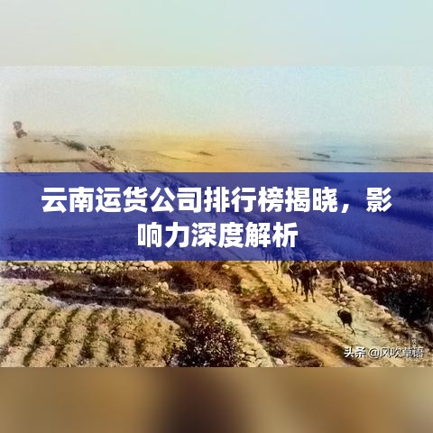 云南運(yùn)貨公司排行榜揭曉，影響力深度解析
