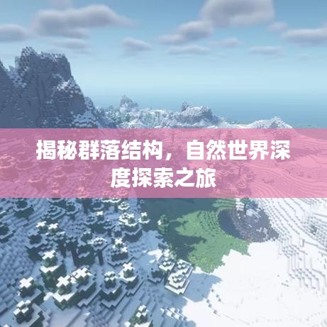 揭秘群落結(jié)構(gòu)，自然世界深度探索之旅
