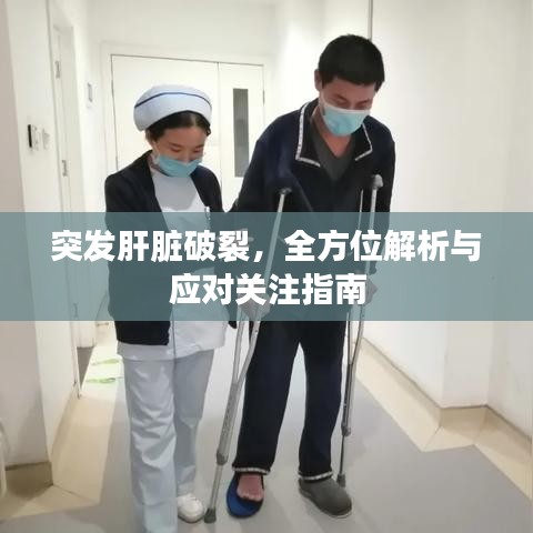 突發(fā)肝臟破裂，全方位解析與應對關注指南