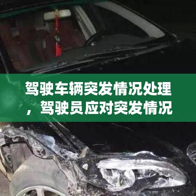 駕駛車輛突發(fā)情況處理，駕駛員應(yīng)對突發(fā)情況 