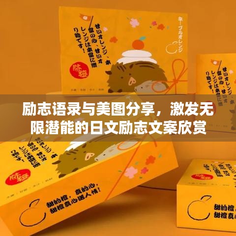 勵志語錄與美圖分享，激發(fā)無限潛能的日文勵志文案欣賞