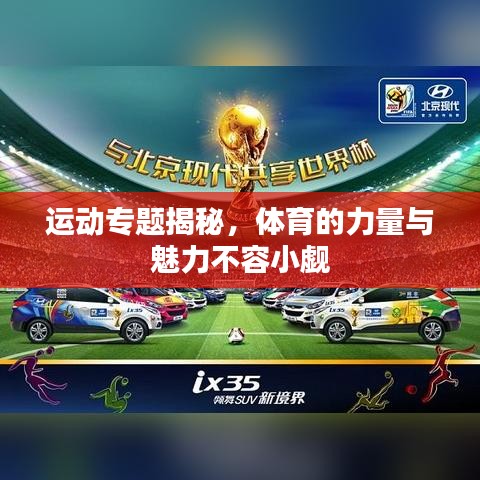 運動專題揭秘，體育的力量與魅力不容小覷