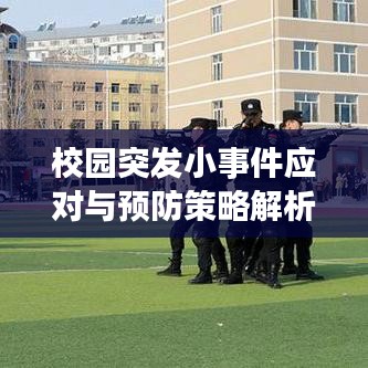 校園突發(fā)小事件應(yīng)對(duì)與預(yù)防策略解析