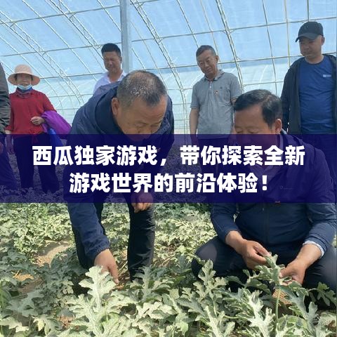 西瓜獨(dú)家游戲，帶你探索全新游戲世界的前沿體驗(yàn)！