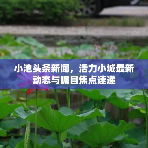 小池頭條新聞，活力小城最新動(dòng)態(tài)與矚目焦點(diǎn)速遞