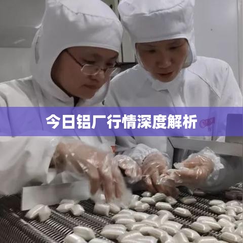 今日鋁廠行情深度解析