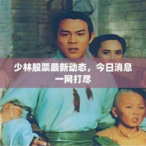 少林股票最新動態(tài)，今日消息一網(wǎng)打盡