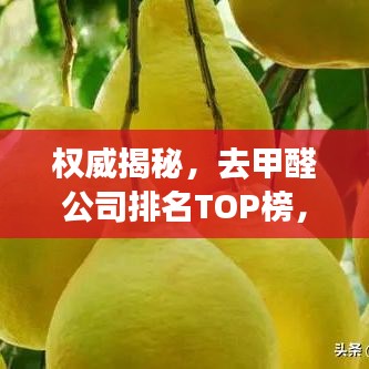 權(quán)威揭秘，去甲醛公司排名TOP榜，專業(yè)治理甲醛污染！