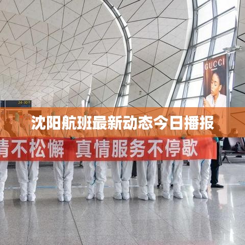 沈陽航班最新動(dòng)態(tài)今日播報(bào)