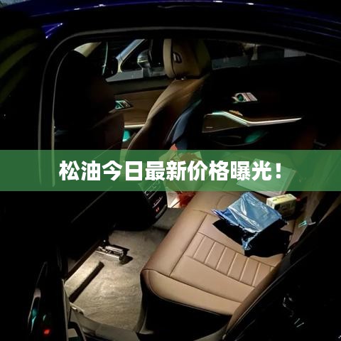 松油今日最新價(jià)格曝光！