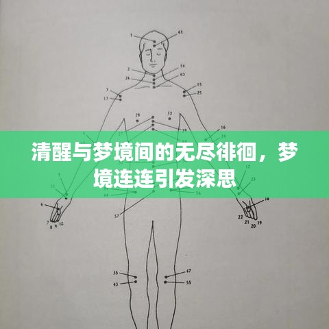 清醒與夢境間的無盡徘徊，夢境連連引發(fā)深思