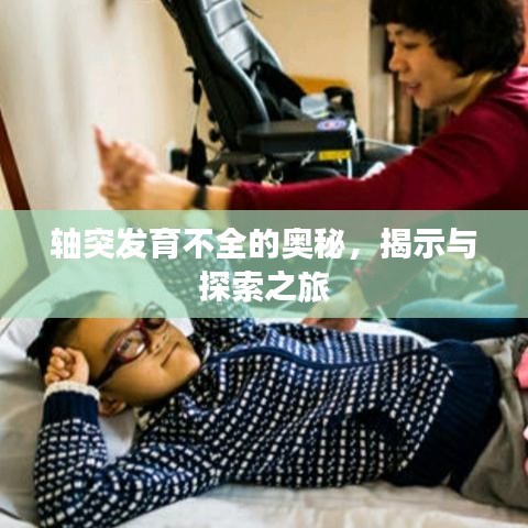 軸突發(fā)育不全的奧秘，揭示與探索之旅