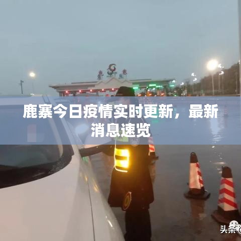 鹿寨今日疫情實時更新，最新消息速覽