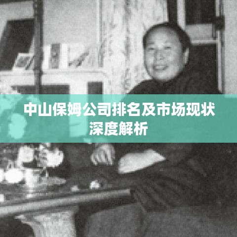 中山保姆公司排名及市場現(xiàn)狀深度解析
