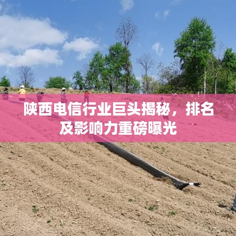 陜西電信行業(yè)巨頭揭秘，排名及影響力重磅曝光
