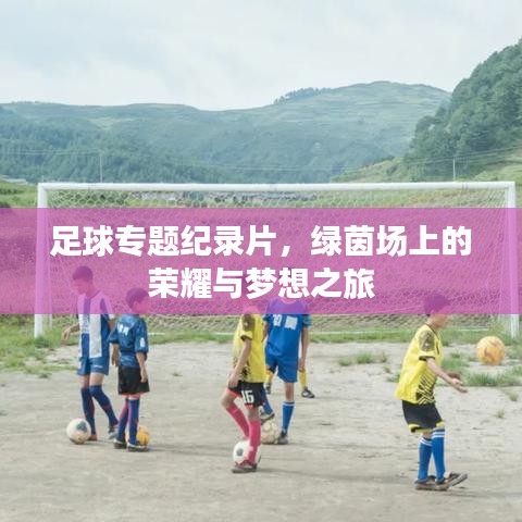 足球?qū)ｎ}紀(jì)錄片，綠茵場上的榮耀與夢想之旅