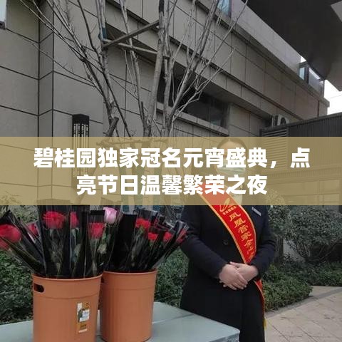 碧桂園獨家冠名元宵盛典，點亮節(jié)日溫馨繁榮之夜
