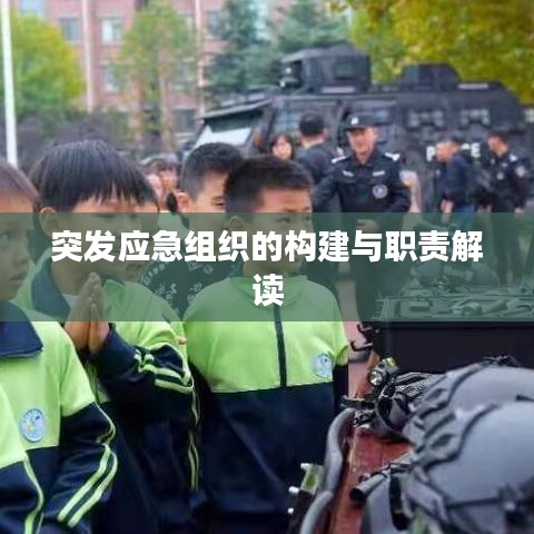 突發(fā)應急組織的構(gòu)建與職責解讀