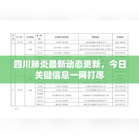 四川肺炎最新動態(tài)更新，今日關鍵信息一網(wǎng)打盡