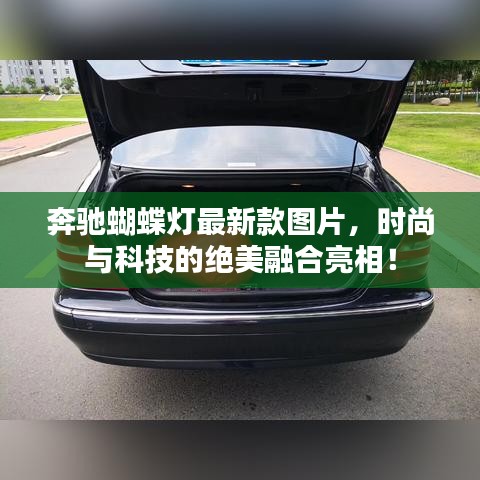 奔馳蝴蝶燈最新款圖片，時(shí)尚與科技的絕美融合亮相！