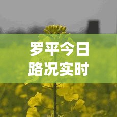 第843頁(yè)