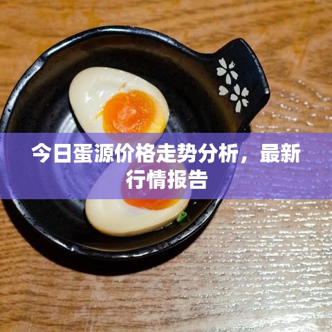 設(shè)備展示 第306頁(yè)
