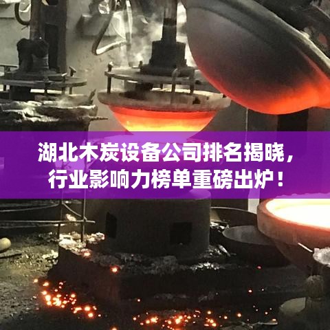 湖北木炭設(shè)備公司排名揭曉，行業(yè)影響力榜單重磅出爐！