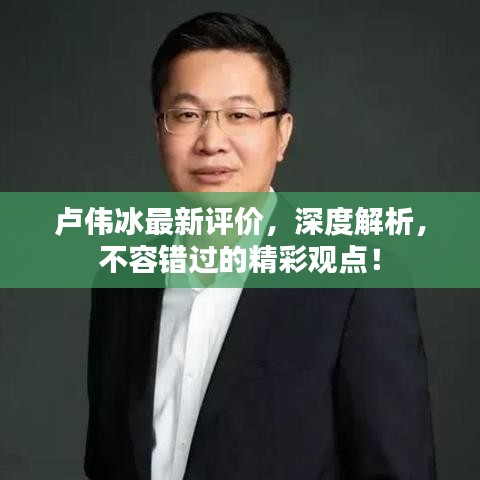 盧偉冰最新評(píng)價(jià)，深度解析，不容錯(cuò)過(guò)的精彩觀(guān)點(diǎn)！
