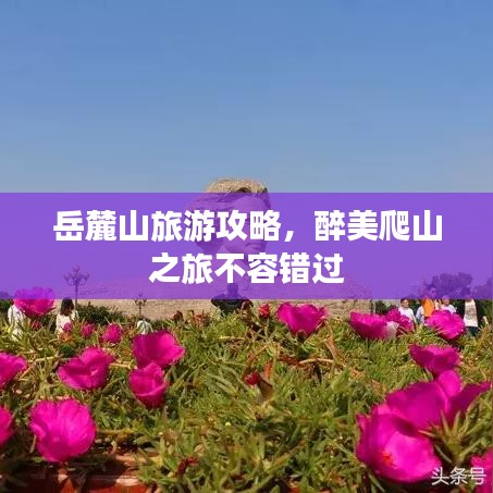 岳麓山旅游攻略，醉美爬山之旅不容錯過