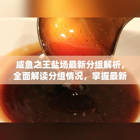 咸魚之王鹽場最新分組解析，全面解讀分組情況，掌握最新動態(tài)！