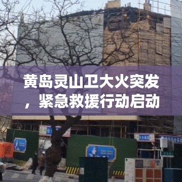 黃島靈山衛(wèi)大火突發(fā)，緊急救援行動啟動