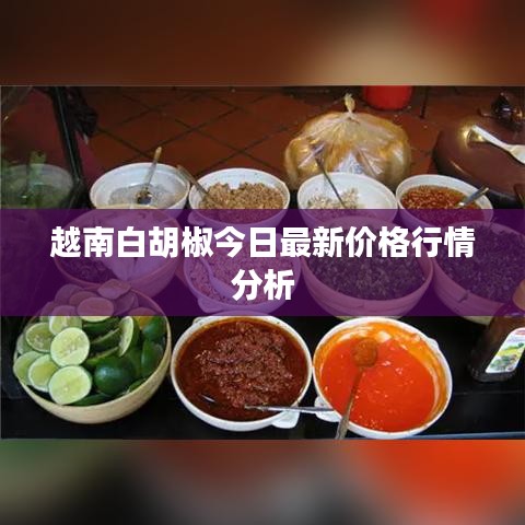 越南白胡椒今日最新價(jià)格行情分析