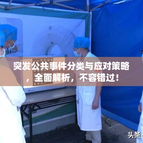 突發(fā)公共事件分類與應對策略，全面解析，不容錯過！