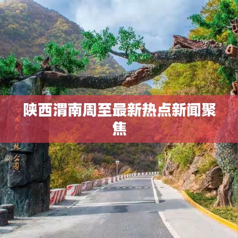 陜西渭南周至最新熱點新聞聚焦